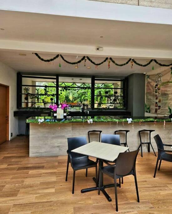 Stunning 1 Bdrm Condo Gym-Pool 10 Min To The Beach & Quinta Av Πλάγια Ντελ Κάρμεν Εξωτερικό φωτογραφία